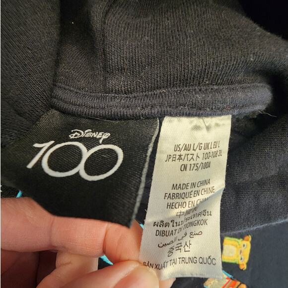 Disney 100 Unified Characters Pullover Hoodie Cropped SZ Large Pixar Marvel - Picture 4 of 6